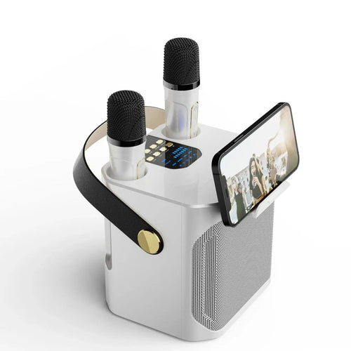 Bluetooth Lautsprecher mit 360° Sound – Tragbare Box für Karaoke und Partys, Dual-Mikrofon
