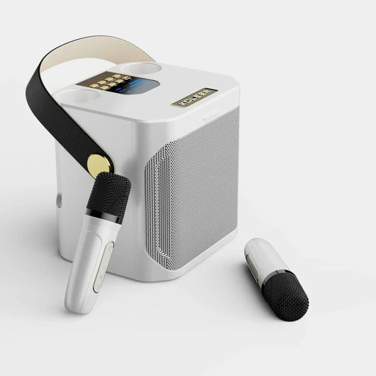 Bluetooth Lautsprecher mit 360° Sound – Tragbare Box für Karaoke und Partys, Dual-Mikrofon 2