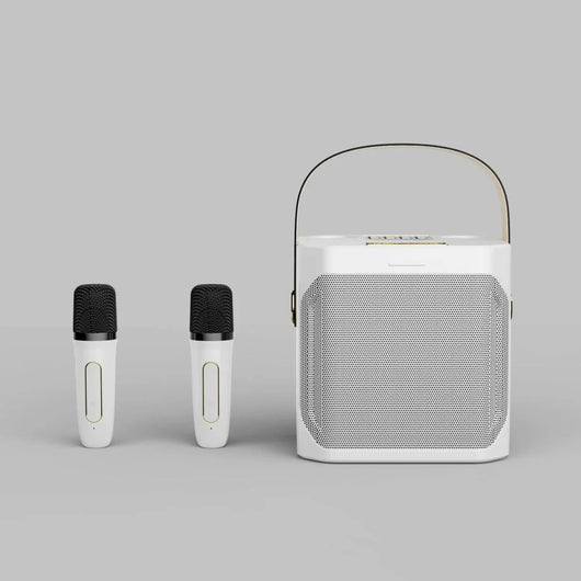 Bluetooth Lautsprecher mit 360° Sound – Tragbare Box für Karaoke und Partys, Dual-Mikrofon 3