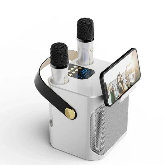 Bluetooth Lautsprecher mit 360° Sound – Tragbare Box für Karaoke und Partys, Dual-Mikrofon 4