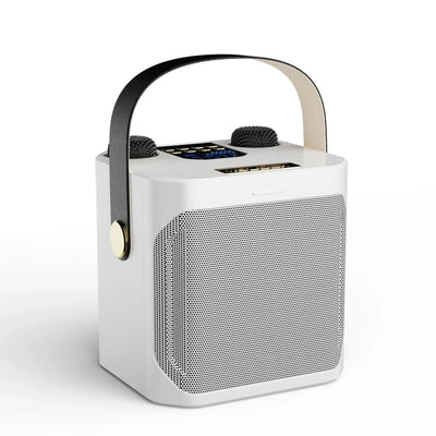 Bluetooth Lautsprecher mit 360° Sound – Tragbare Box für Karaoke und Partys, Dual-Mikrofon 5