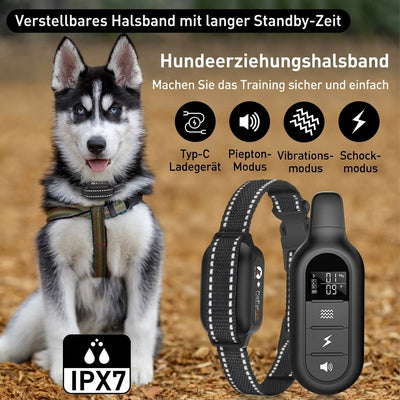 Elektrisches Hundehalsband mit Fernbedienung – Wasserdicht, 1000 m Reichweite, 16 Stufen