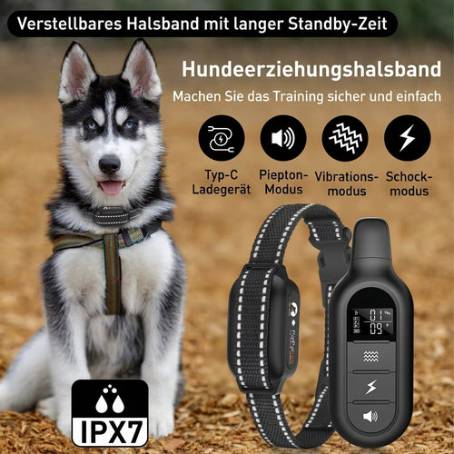 Elektrisches Hundehalsband mit Fernbedienung – Wasserdicht, 1000 m Reichweite, 16 Stufen