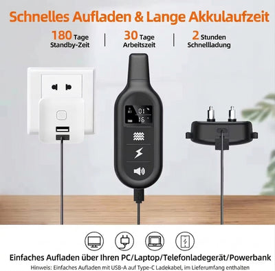 Elektrisches Hundehalsband mit Fernbedienung – Wasserdicht, 1000 m Reichweite, 16 Stufen