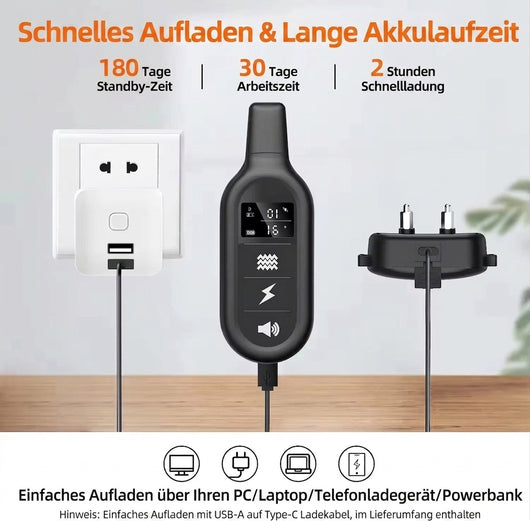 Elektrisches Hundehalsband mit Fernbedienung – Wasserdicht, 1000 m Reichweite, 16 Stufen