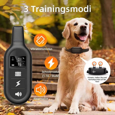 Elektrisches Hundehalsband mit Fernbedienung – Wasserdicht, 1000 m Reichweite, 16 Stufen