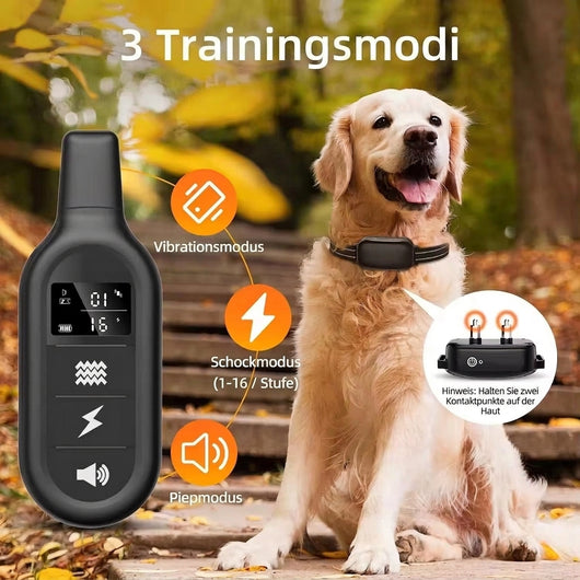 Elektrisches Hundehalsband mit Fernbedienung – Wasserdicht, 1000 m Reichweite, 16 Stufen