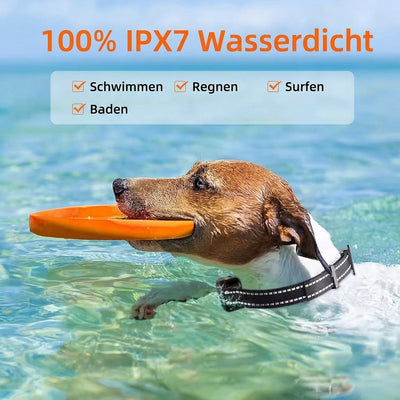 Elektrisches Hundehalsband mit Fernbedienung – Wasserdicht, 1000 m Reichweite, 16 Stufen