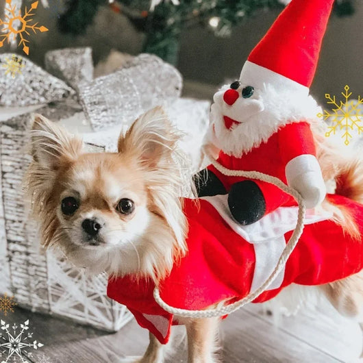 Hunde Kostüm Weihnachten – Atmungsaktives Hundekostüm mit Weihnachtsmann für kleine bis mittelgroße Hunde 0