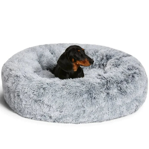 Hundebett orthopädisch für ängstliche Hunde – höhlenartig, mit waschbarem Bezug
