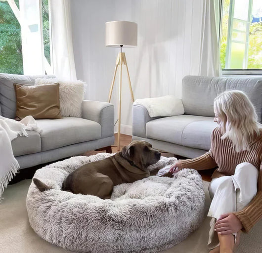 Hundebett orthopädisch für ängstliche Hunde – höhlenartig, mit waschbarem Bezug 4