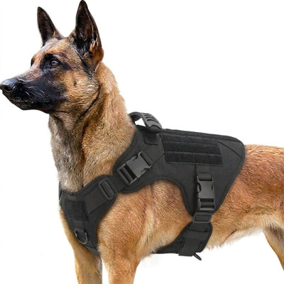 Hundegeschirr gepolstert für große Hunde – Verstellbar mit Molle-System und Anti-Zieh-Funktion 1