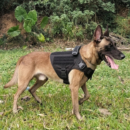 Hundegeschirr gepolstert für große Hunde – Verstellbar mit Molle-System und Anti-Zieh-Funktion 7