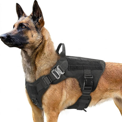 Hundegeschirr gepolstert für große Hunde – Verstellbar mit Molle-System und Anti-Zieh-Funktion 0