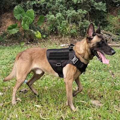 Hundegeschirr gepolstert für große Hunde – Verstellbar mit Molle-System und Anti-Zieh-Funktion 5