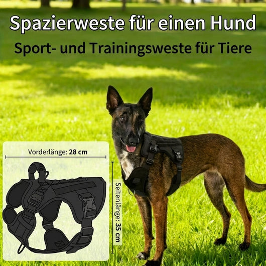 Hundegeschirr gepolstert für große Hunde – Verstellbar mit Molle-System und Anti-Zieh-Funktion