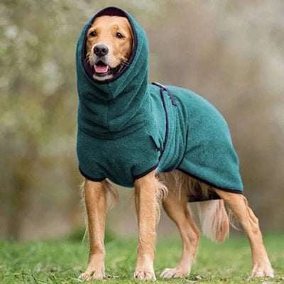 Ein Hund trägt einen wasserdichten, dunkelgrünen Wintermantel mit Kapuze bei einem Spaziergang im Freien.