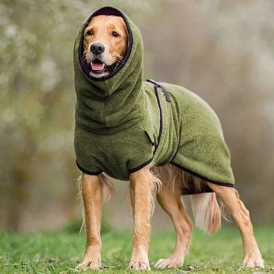 Ein Hund trägt einen grünen, wasserdichten Wintermantel mit Kapuze bei einem Spaziergang im Freien.