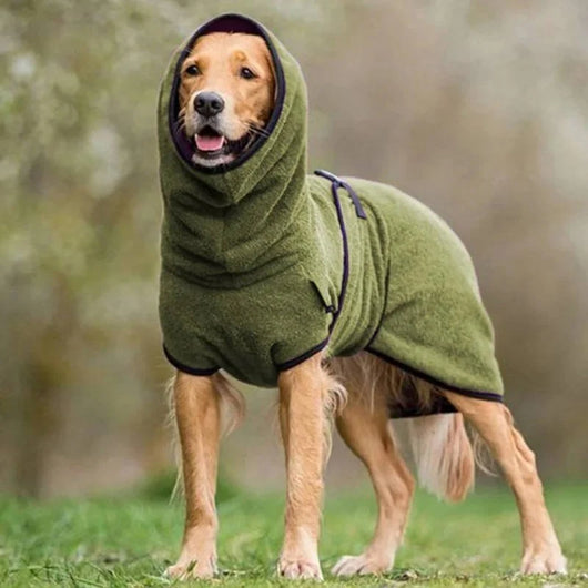 Ein Hund trägt einen grünen, wasserdichten Wintermantel mit Kapuze bei einem Spaziergang im Freien.