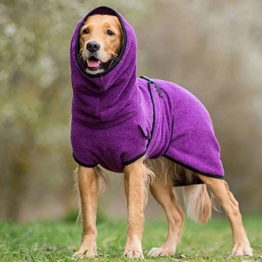 Ein Hund trägt einen violetten Wintermantel mit Kapuze bei einem Spaziergang im Freien.
