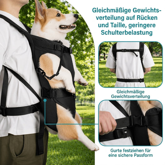 Hunderucksack zum Wandern – Belüftet, mit verstellbaren Trägern, spritzwassergeschützt, bis 15 kg
