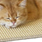 Kratzbrett für Katzen – Sisal, robust und vielseitig einsetzbar für Möbel und Wand