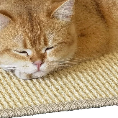 Eine orangefarbene Katze schläft friedlich auf einem beigen Sisal-Kratzbrett.