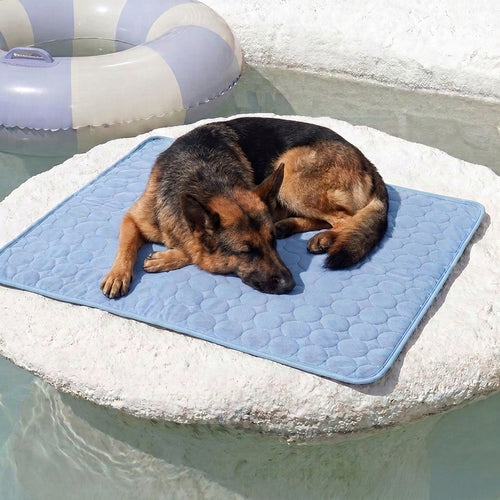 Kühlmatte für Hunde