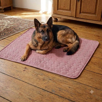 Ein Deutscher Schäferhund liegt entspannt auf einer rosafarbenen, gesteppten Kühlmatte auf einem Holzboden.