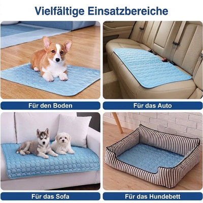 Vier Anwendungsbeispiele für eine blaue Kühlmatte für Hunde auf dem Boden, im Auto, auf dem Sofa und im Hundebett.