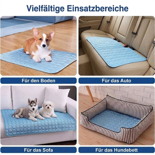 Vier Anwendungsbeispiele für eine blaue Kühlmatte für Hunde auf dem Boden, im Auto, auf dem Sofa und im Hundebett.