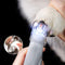 Nagelknipser für Hunde und Katzen mit LED-Licht - Rutschfester Griff für sicheres Kürzen der Krallen