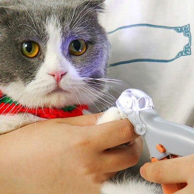 Nagelknipser für Hunde und Katzen mit LED-Licht – Rutschfester Griff für sicheres Trimmen 1