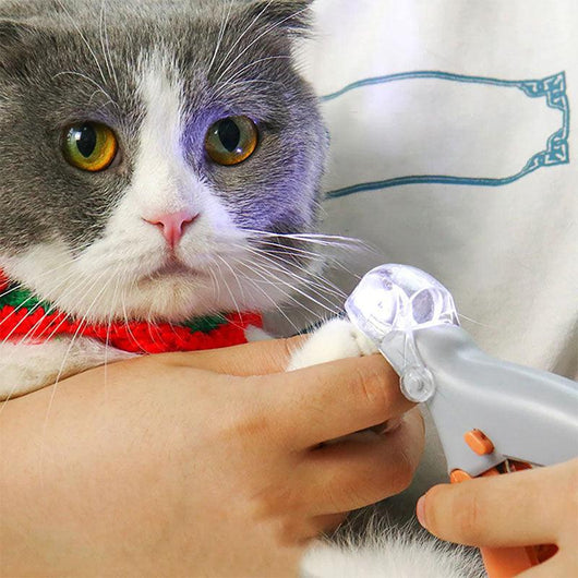 Nagelknipser für Hunde und Katzen mit LED-Licht – Rutschfester Griff für sicheres Trimmen 1