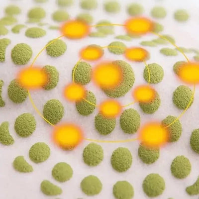 Nierenwärmer Damen aus Kaschmir – Atmungsaktiv mit Elastischem Bund für Kalte Tage 3