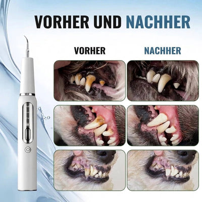Zahnpflege für Hunde – Ultraschall-Zahnsteinentferner mit LED-Beleuchtung und leisem Betrieb