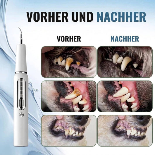 Zahnpflege für Hunde – Ultraschall-Zahnsteinentferner mit LED-Beleuchtung und leisem Betrieb