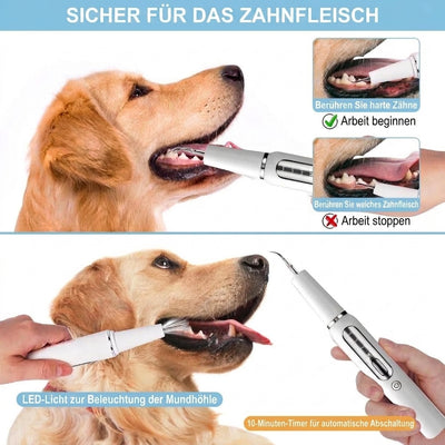Zahnpflege für Hunde – Ultraschall-Zahnsteinentferner mit LED-Beleuchtung und leisem Betrieb