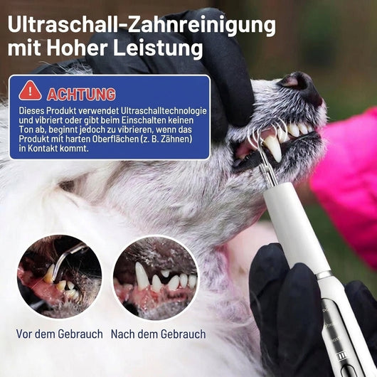 Zahnpflege für Hunde – Ultraschall-Zahnsteinentferner mit LED-Beleuchtung und leisem Betrieb