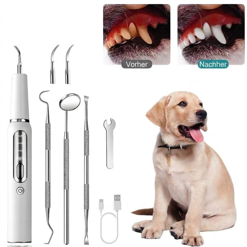 Zahnpflege für Hunde – Ultraschall-Zahnsteinentferner mit LED-Beleuchtung und leisem Betrieb