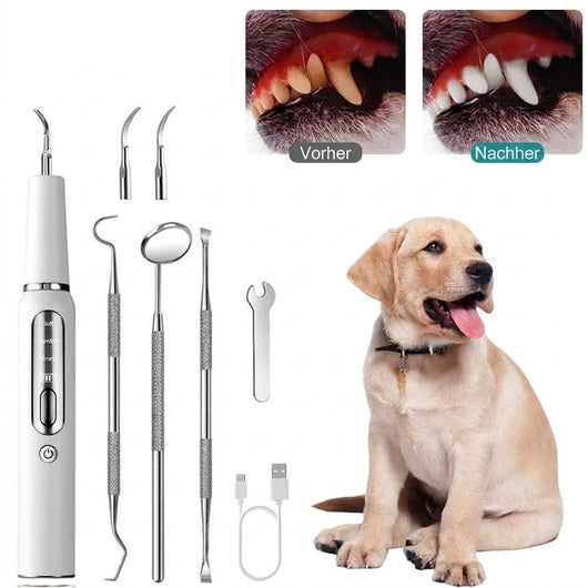Zahnpflege für Hunde – Ultraschall-Zahnsteinentferner mit LED-Beleuchtung und leisem Betrieb