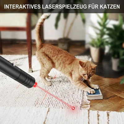 Eine Katze spielt mit dem roten Laserpunkt eines Laserpointers auf einem Teppich.